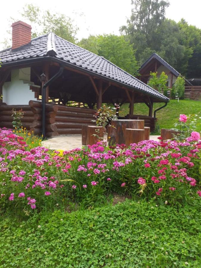 Pensiunea Doina Bucovinei Hotell Mînăstirea Humorului Eksteriør bilde