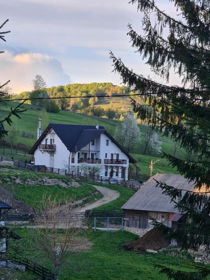 Pensiunea Doina Bucovinei Hotell Mînăstirea Humorului Eksteriør bilde
