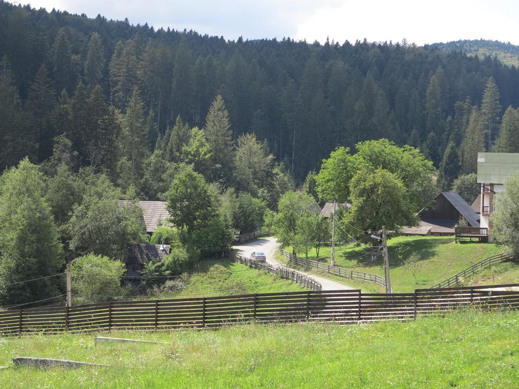 Pensiunea Doina Bucovinei Hotell Mînăstirea Humorului Eksteriør bilde