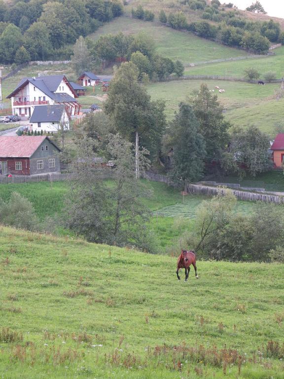 Pensiunea Doina Bucovinei Hotell Mînăstirea Humorului Eksteriør bilde