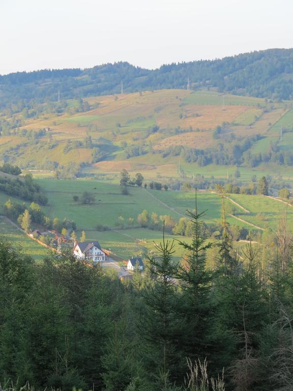 Pensiunea Doina Bucovinei Hotell Mînăstirea Humorului Eksteriør bilde