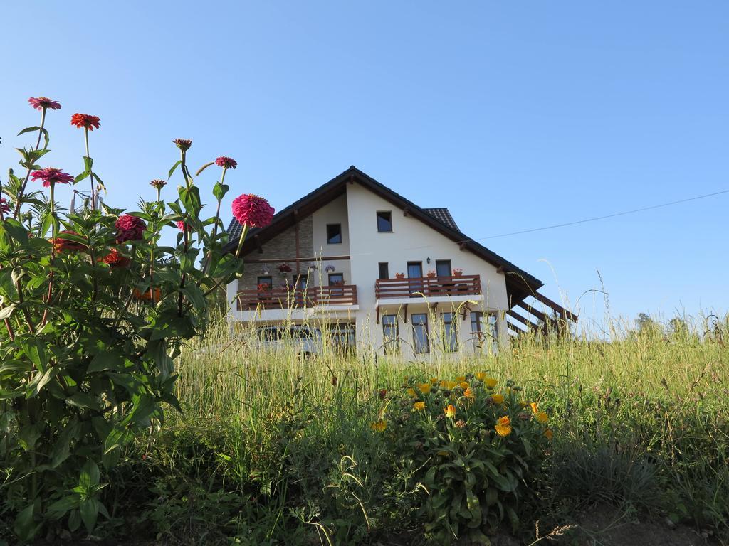 Pensiunea Doina Bucovinei Hotell Mînăstirea Humorului Eksteriør bilde