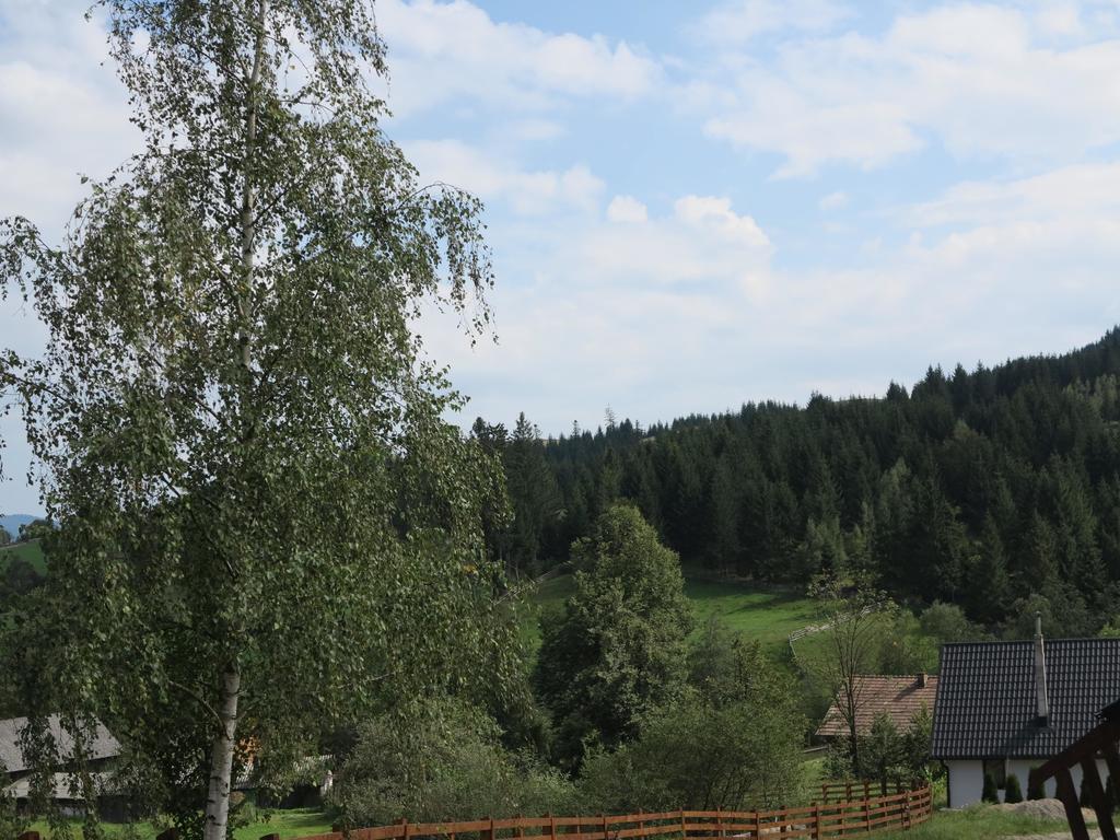 Pensiunea Doina Bucovinei Hotell Mînăstirea Humorului Eksteriør bilde