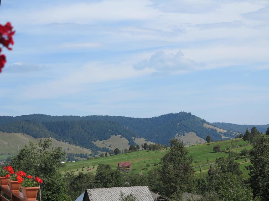 Pensiunea Doina Bucovinei Hotell Mînăstirea Humorului Eksteriør bilde